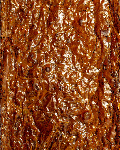 Salted Caramel Brownie Slab