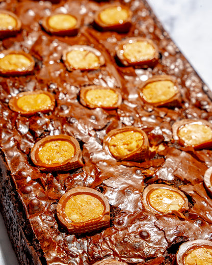 Starbar Brownie Slab
