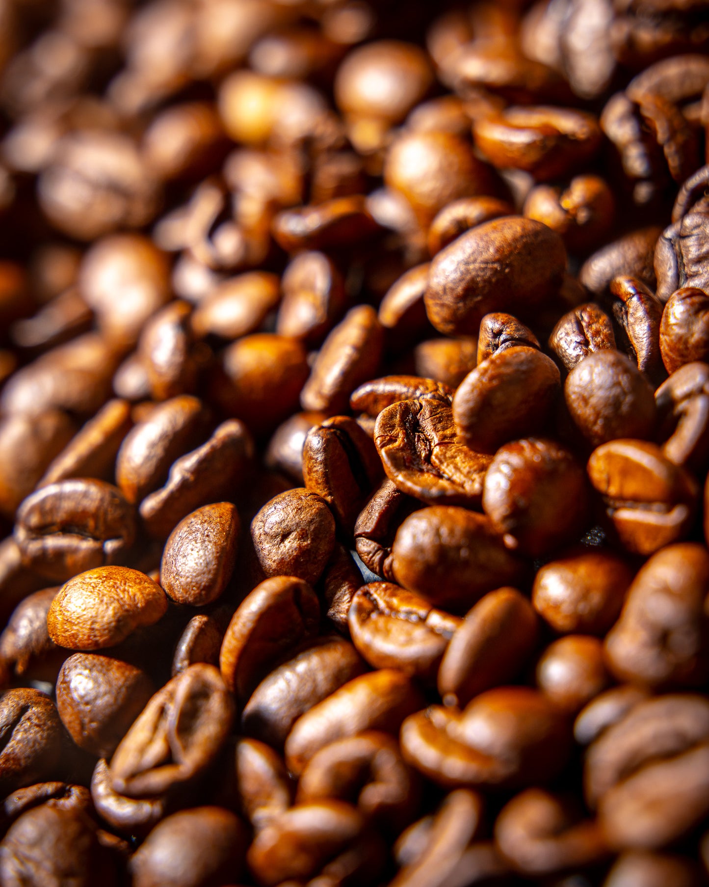 Haxby Blend - 1kg